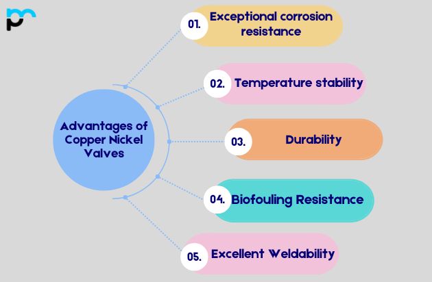 Copper Nickel Valves