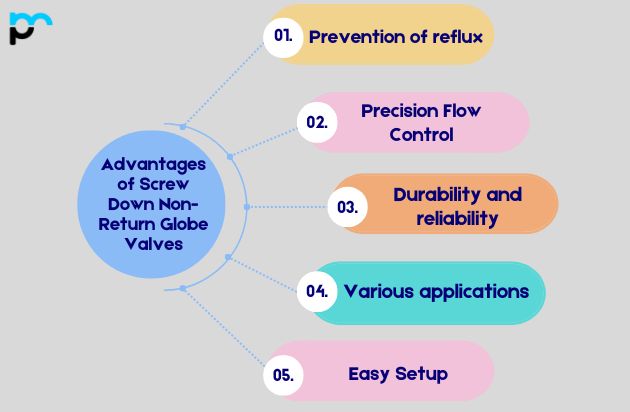 Advantages of Screw Down Non-Return Globe Valves_