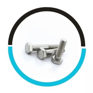 Hastelloy-Alloy-X-Hex-Bolt-2- in UAE