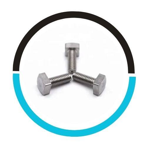 Square Head T Bolt in UAE