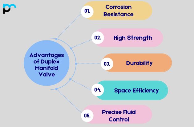 Advantages of Duplex Manifold Valve