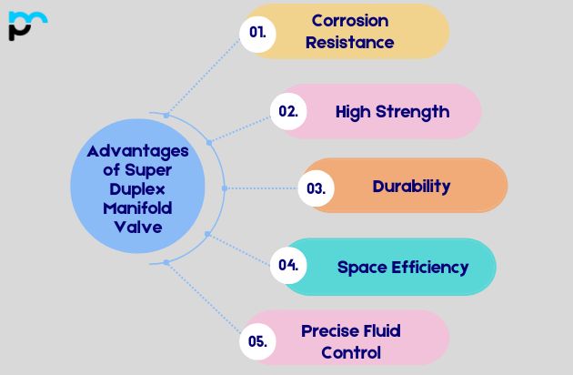 Advantages of Super Duplex Manifold Valve