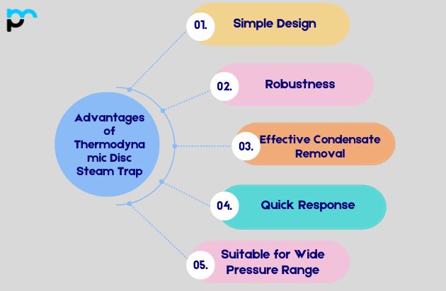 Advantages of Thermodynamic Disc Steam Trap