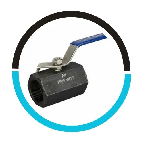 Stainless Steel Socket Weld Needle Valve in UAE