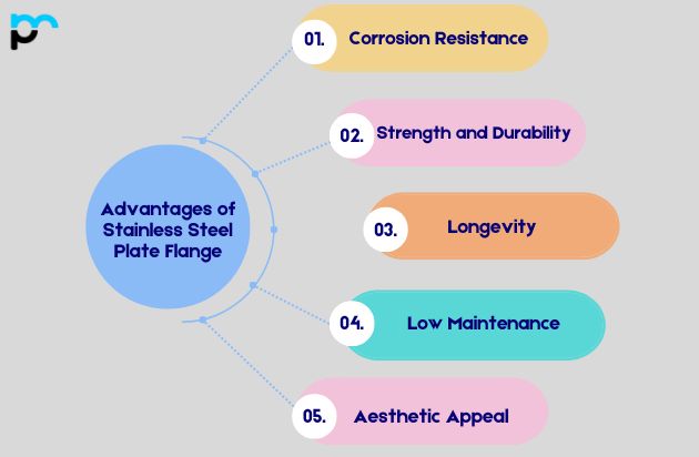 Advantages of Stainless Steel Plate Flange